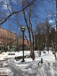 IMG_7029